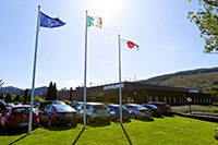 ALPS ELECTRIC (IRELAND) LIMITED