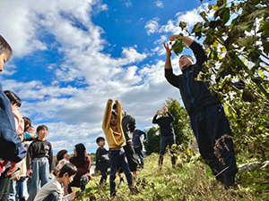 Organic cotton harvesting experience