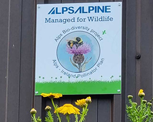 A sign above the wildflower bed